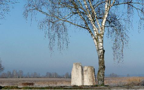 PatrickCrombe02083